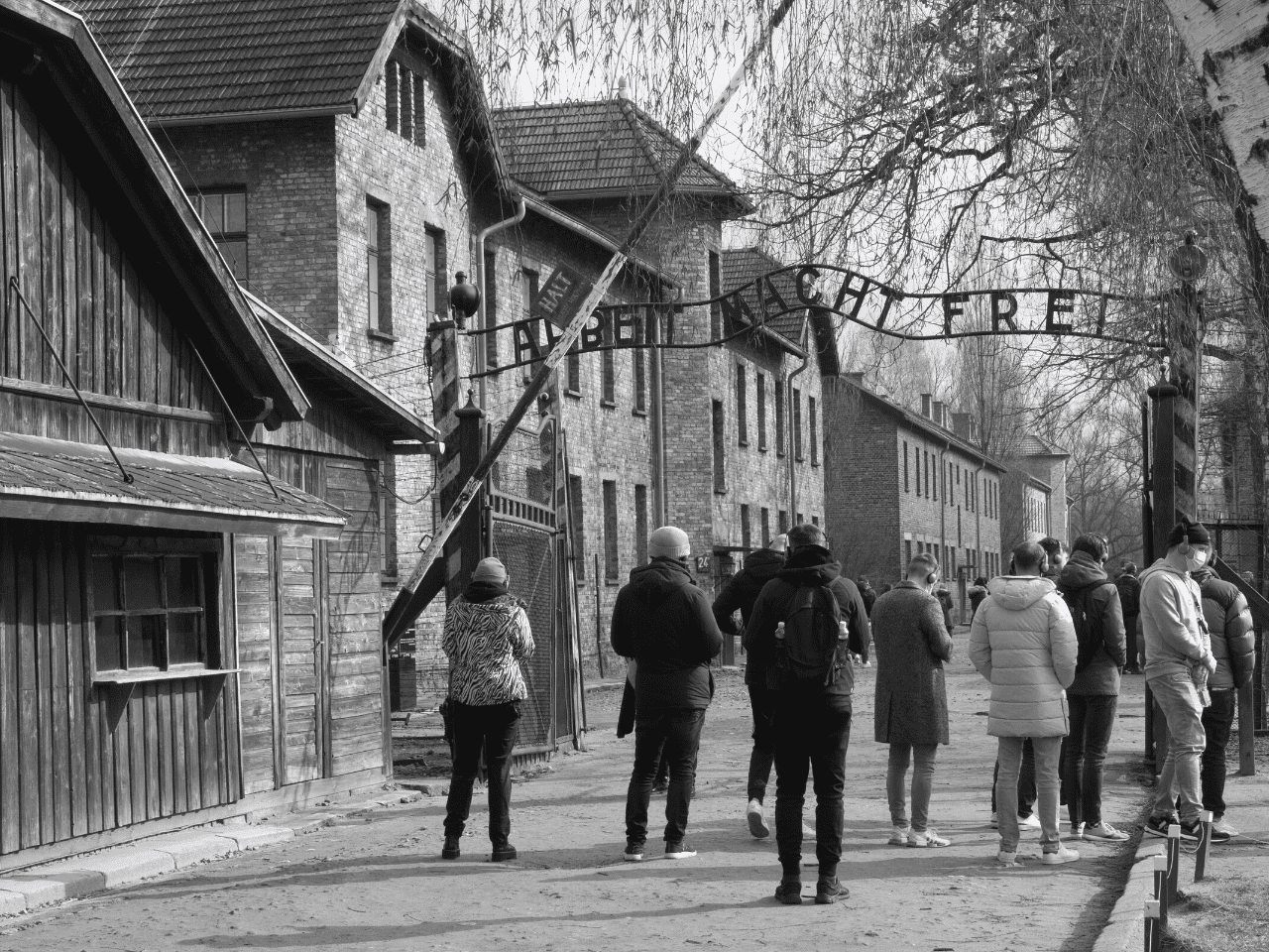 Untitled design 2022 07 19T151459.747