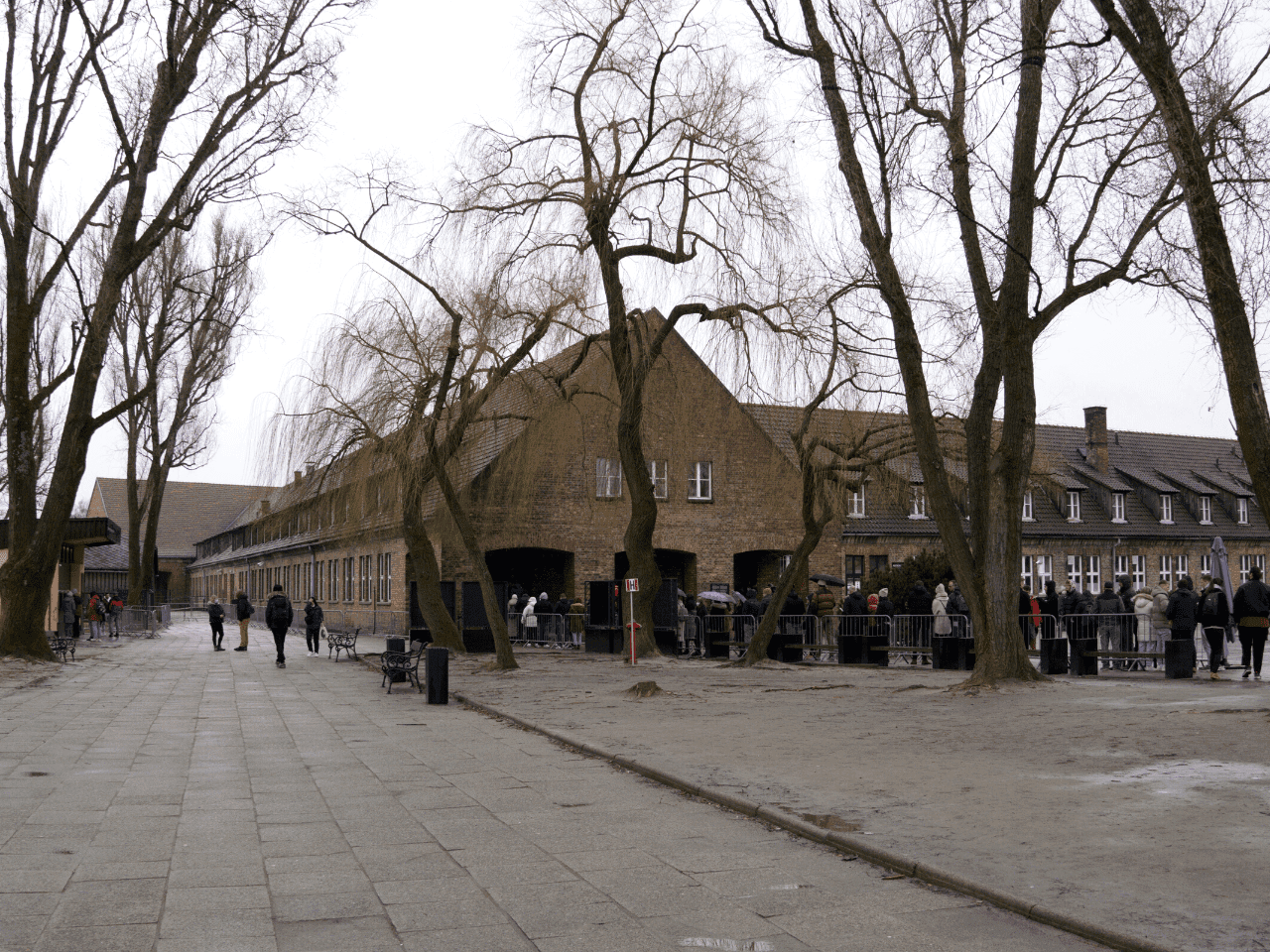 Untitled design 27 1