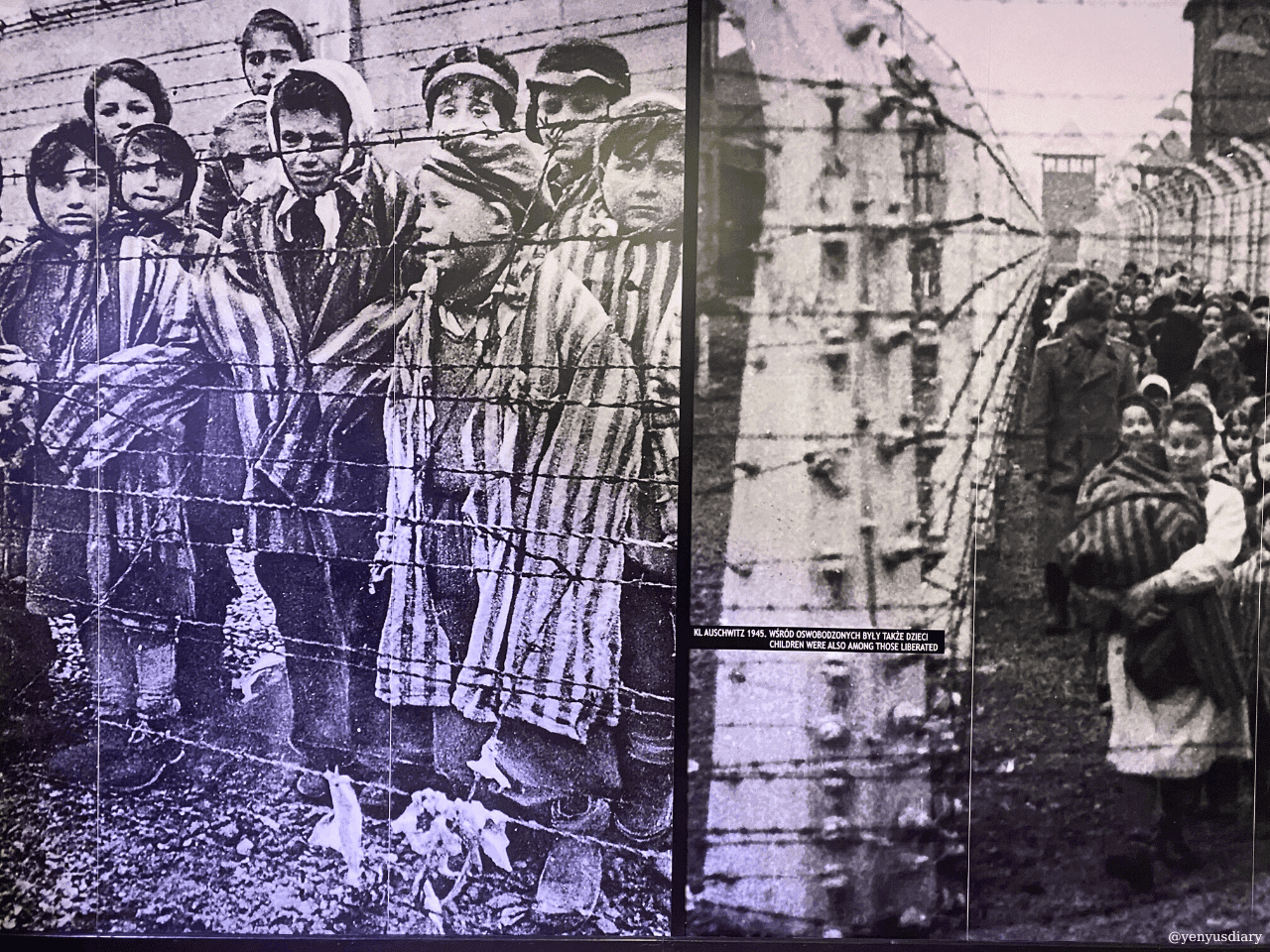 yenyusdiary 2022 08 10T103233.635