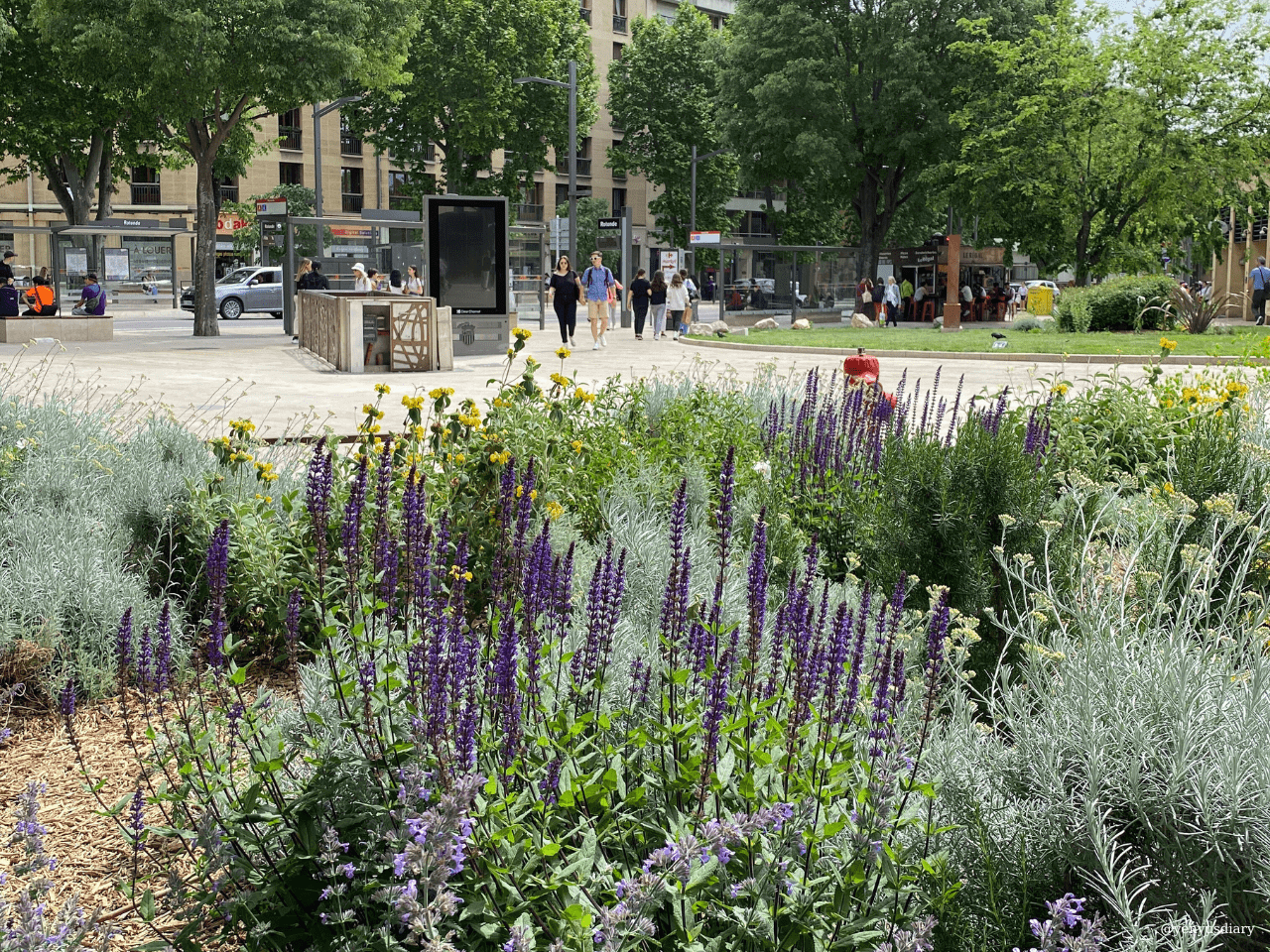 Add a little bit of body text 6