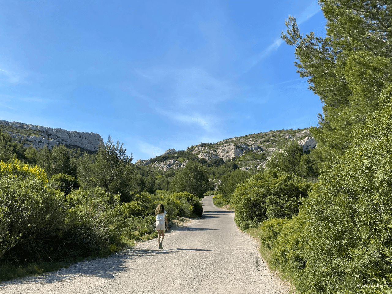 yenyusdiary 2023 06 29T102438.299