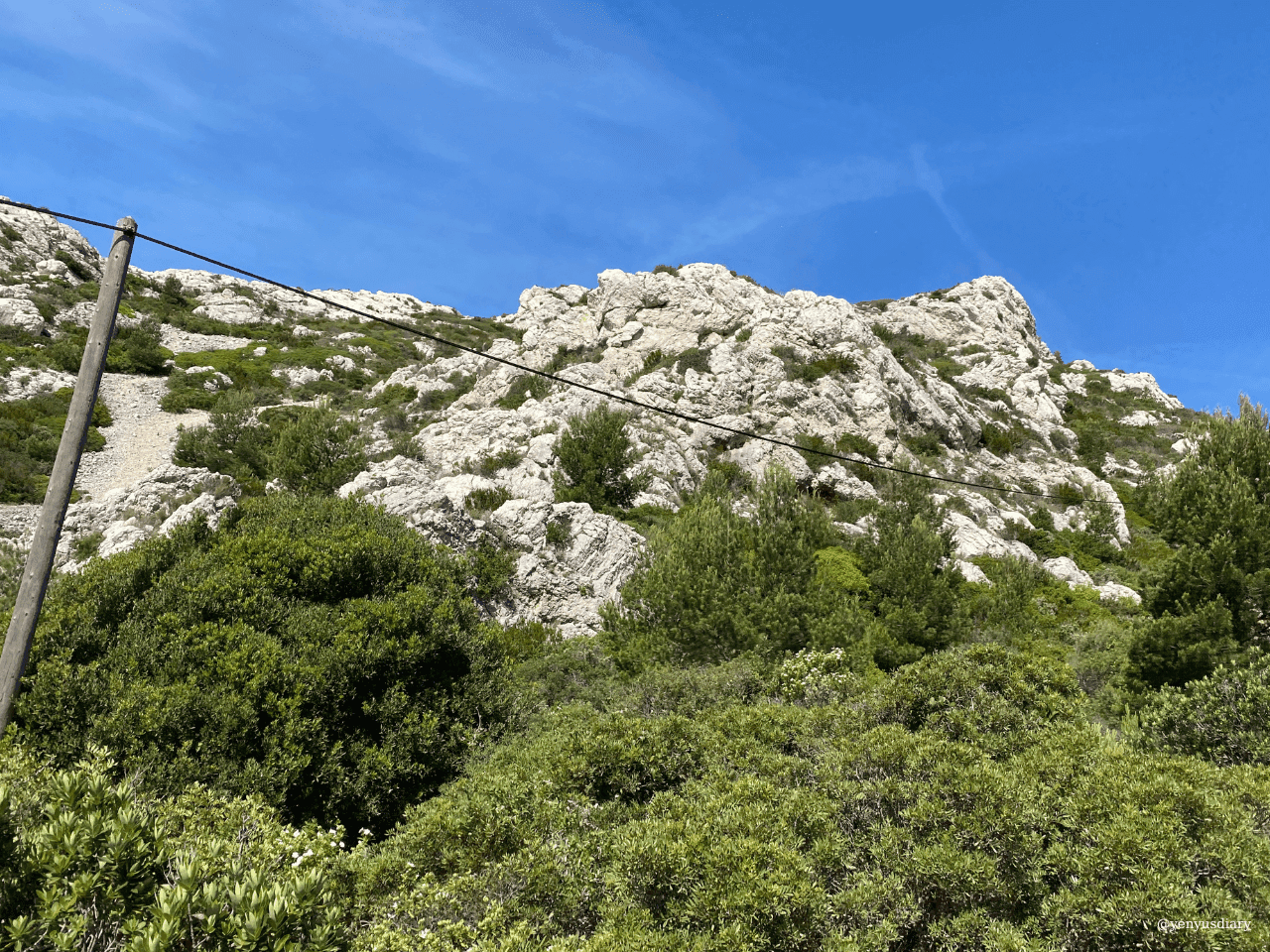 yenyusdiary 2023 06 29T102729.760