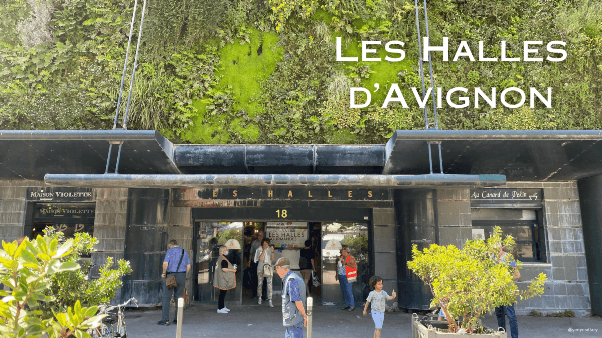 cover e1699253674738