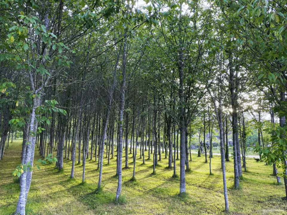 yenyusdiary 2024 02 14T113130.438 1