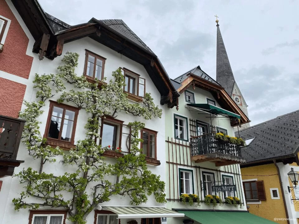 yenyusdiary 2024 02 24T115204.262 jpg