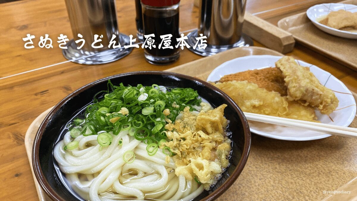 你的段落文字 1