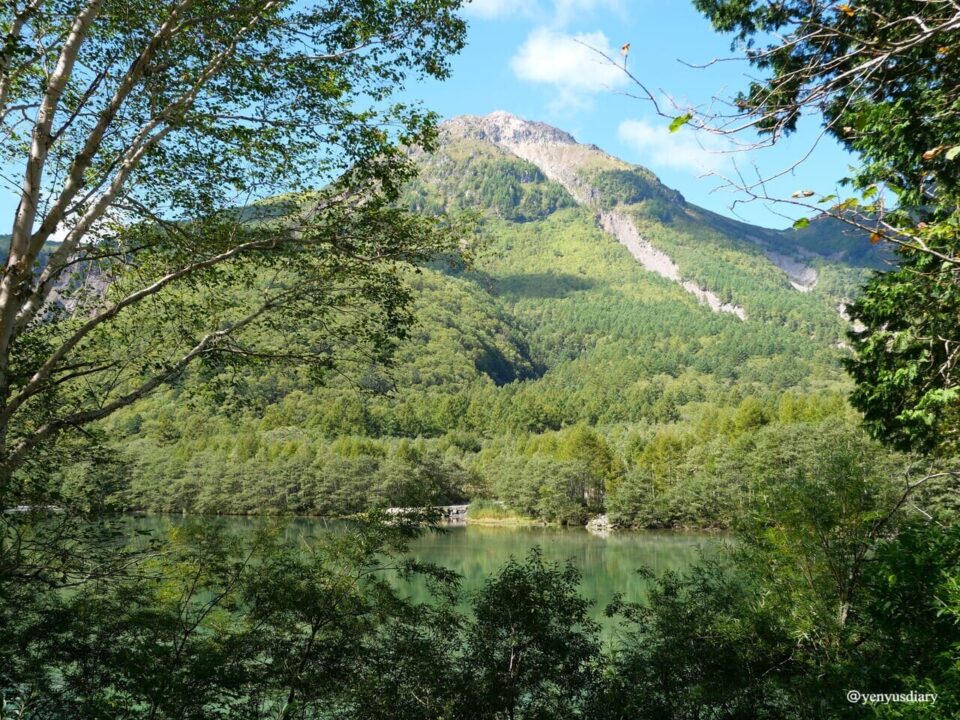 【日本上高地】大正池到河童橋的山谷散步|走進北阿爾卑斯的靜謐之境 9 P1037572