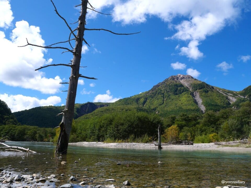 【日本上高地】大正池到河童橋的山谷散步|走進北阿爾卑斯的靜謐之境 14 P1037604