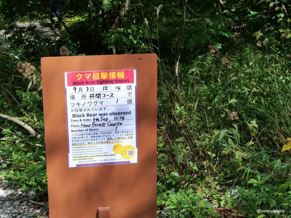 【日本上高地】大正池到河童橋的山谷散步|走進北阿爾卑斯的靜謐之境 16 P1037608