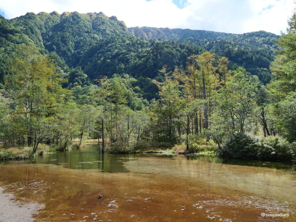 【日本上高地】大正池到河童橋的山谷散步|走進北阿爾卑斯的靜謐之境 29 P1037620 2