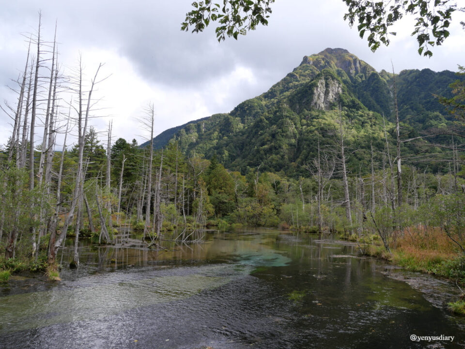 【日本上高地】大正池到河童橋的山谷散步|走進北阿爾卑斯的靜謐之境 27 P1037717