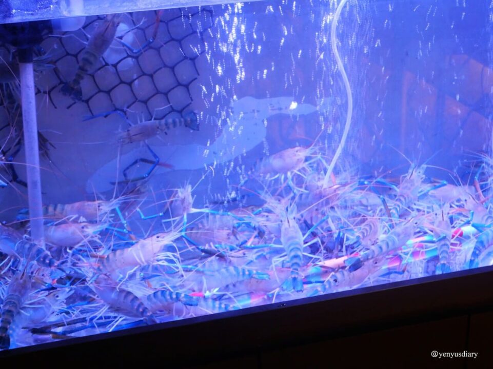 【台北泰式料理】在台北遇見一點曼谷的夜晚|許雪莉泰國時尚餐廳 10 08 2