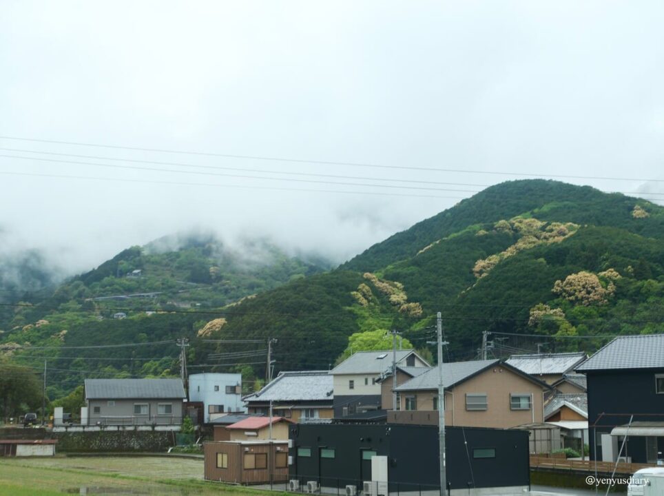 【日本熊野古道D1】滝尻王子到近露王子|走進熊野信仰的起點 11 P1064710