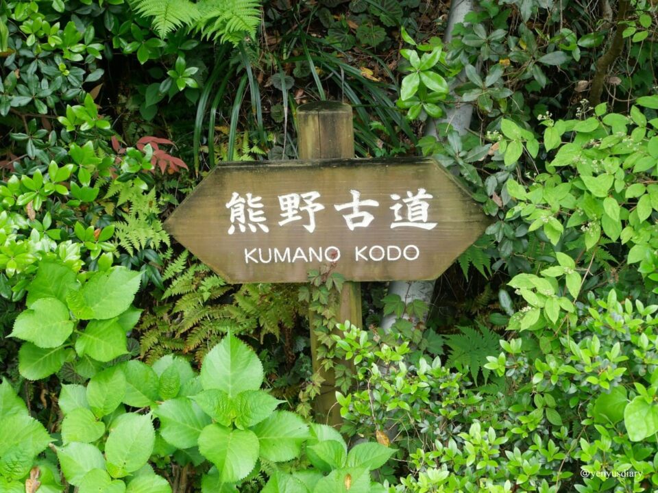 【日本熊野古道D1】滝尻王子到近露王子|走進熊野信仰的起點 29 P1064816