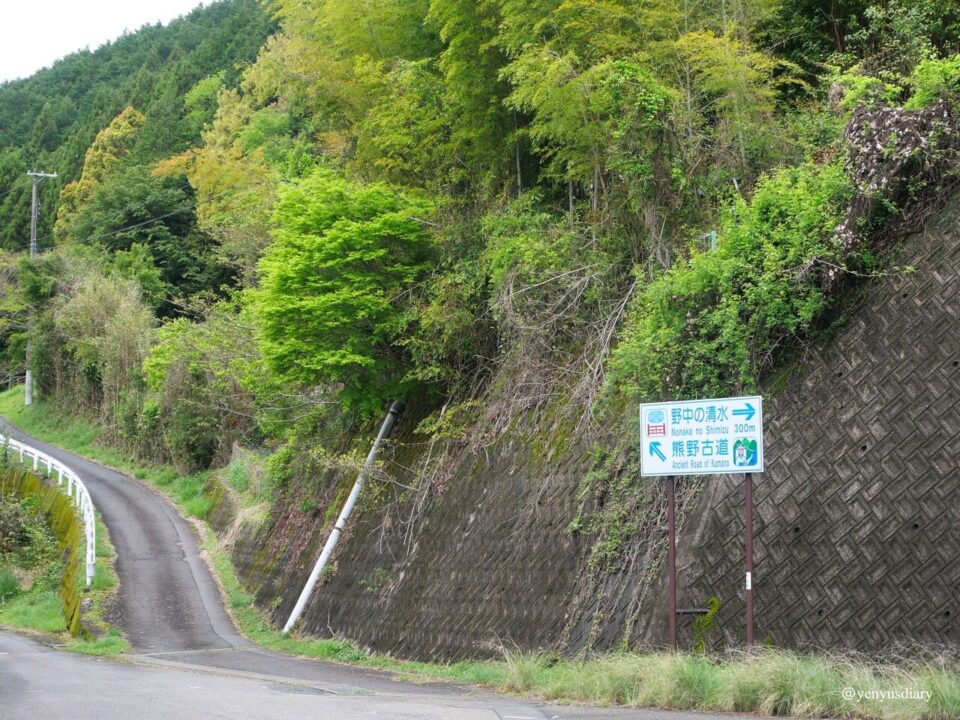【日本熊野古道D2】近露到發心門王子|獨行於山霧之間的朝聖之路 10 P1064940