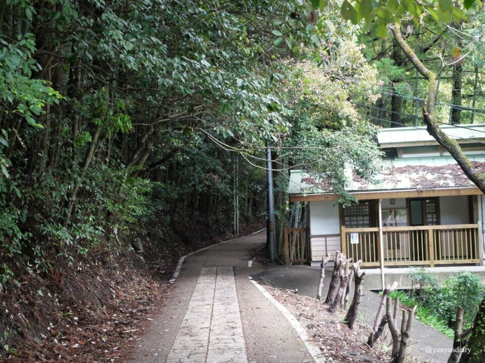 【日本熊野古道D2】近露到發心門王子|獨行於山霧之間的朝聖之路 13 P1064954