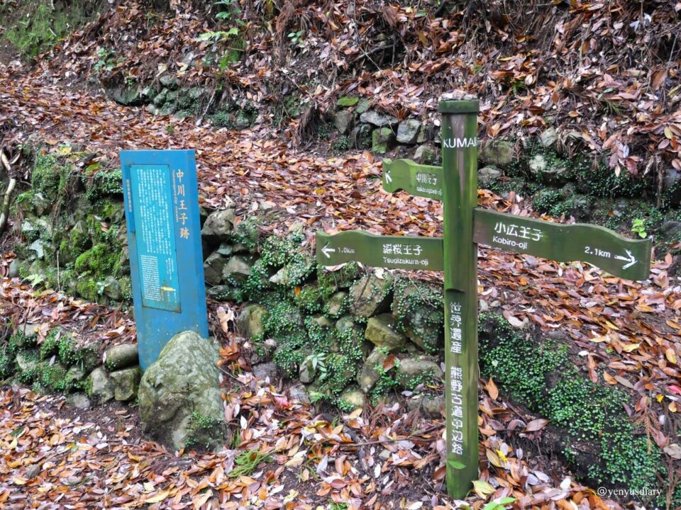 【日本熊野古道D2】近露到發心門王子|獨行於山霧之間的朝聖之路 15 P1064962
