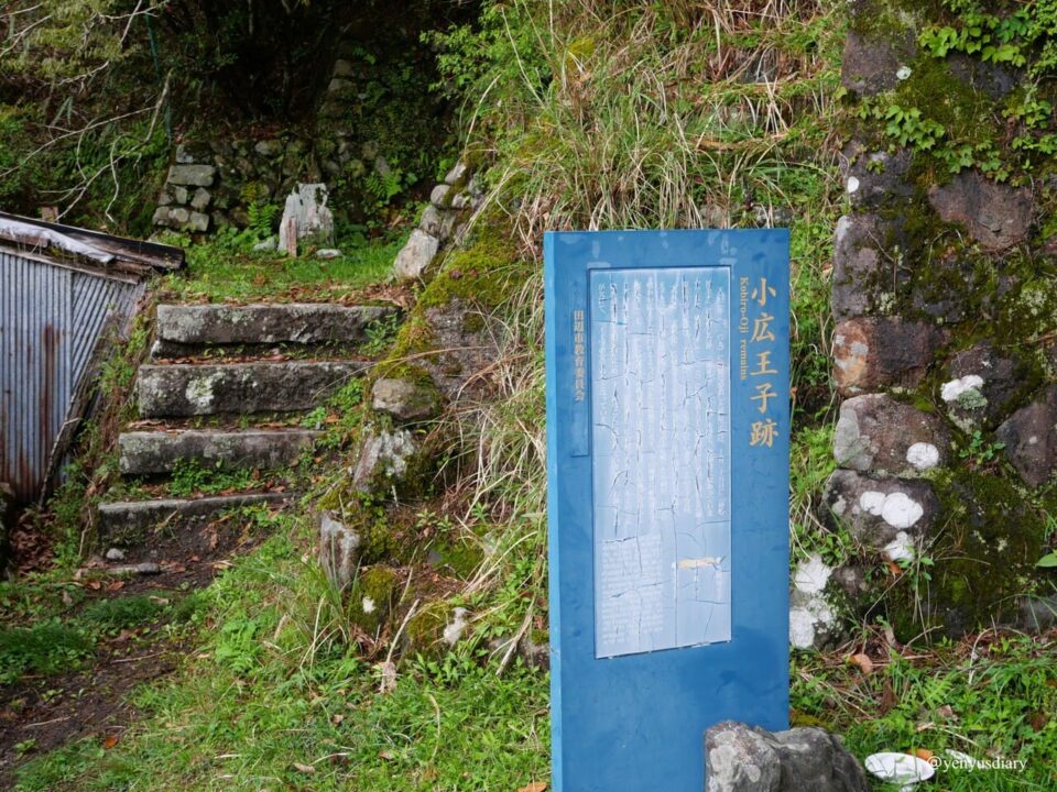 【日本熊野古道D2】近露到發心門王子|獨行於山霧之間的朝聖之路 16 P1064964