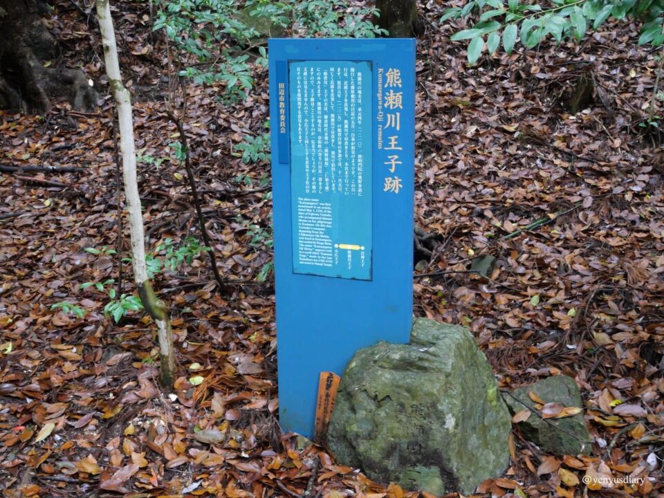【日本熊野古道D2】近露到發心門王子|獨行於山霧之間的朝聖之路 17 P1064973