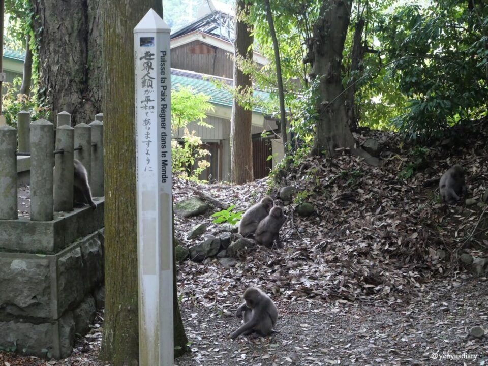 【日本熊野古道D3】發心門王子到熊野本宮大社|雙朝聖證書申請攻略與超震撼太鼓儀式 39 P1065421