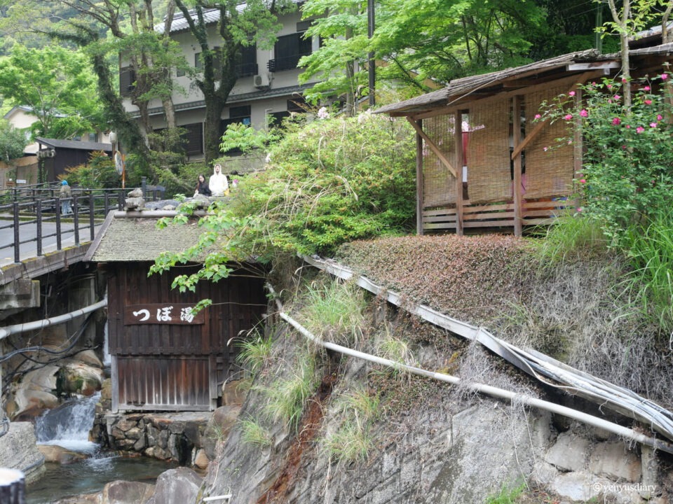 【日本湯之峰溫泉】世界遺產壺湯與千年朝聖溫泉鄉|熊野古道後最溫柔的休息站 14 P1065484