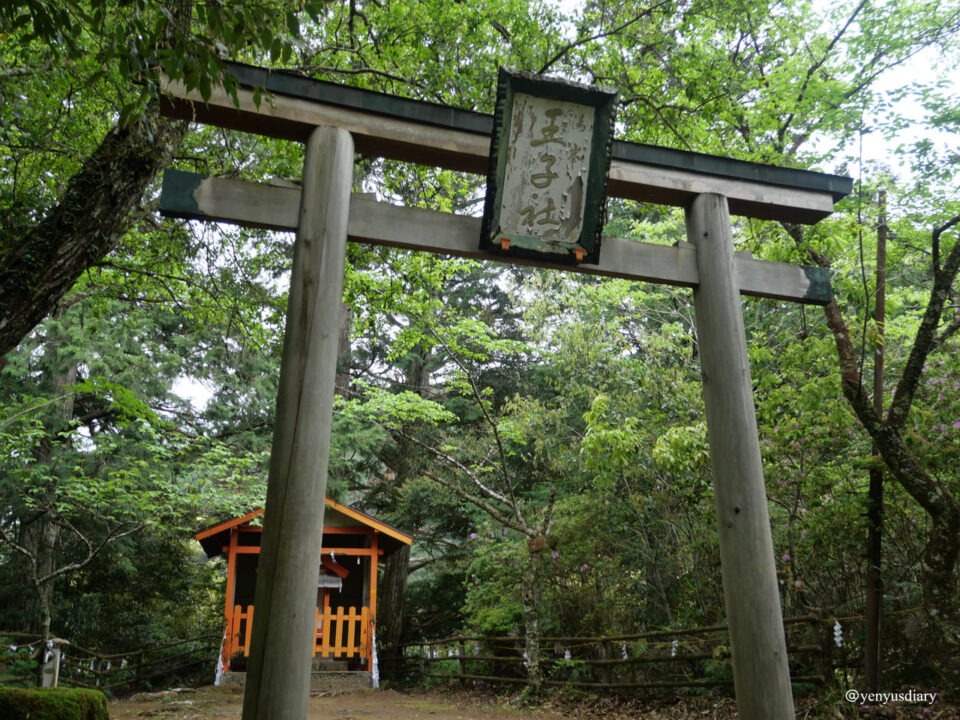 【日本湯之峰溫泉】世界遺產壺湯與千年朝聖溫泉鄉|熊野古道後最溫柔的休息站 11 P1065492