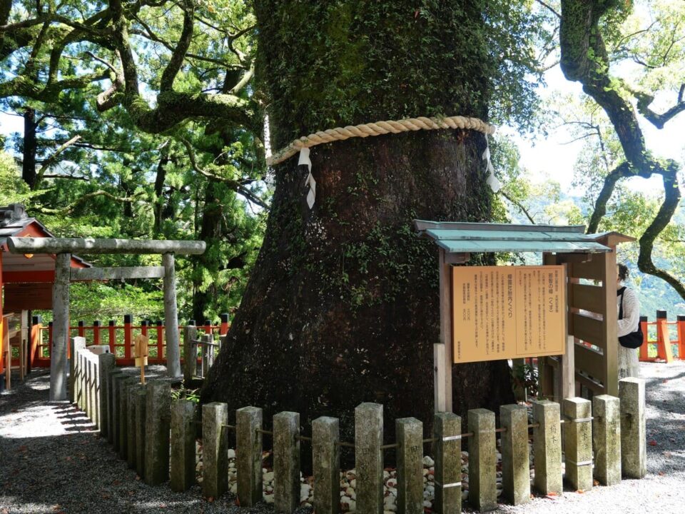 【日本那智山】熊野那智大社與那智瀑布|走進山海之間的信仰之地 14 P1075569